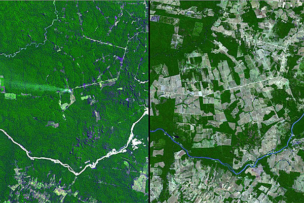 Aerial images of the Mato Grosso state in southwest Brazil